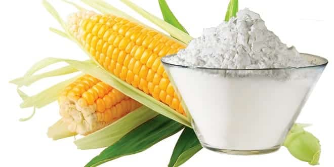 www.foodelphi.com