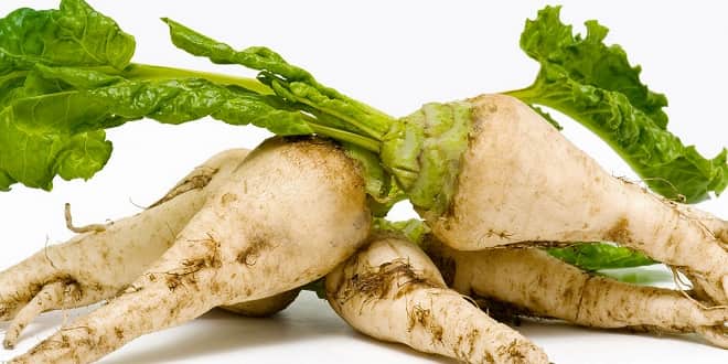 www.foodelphi.com