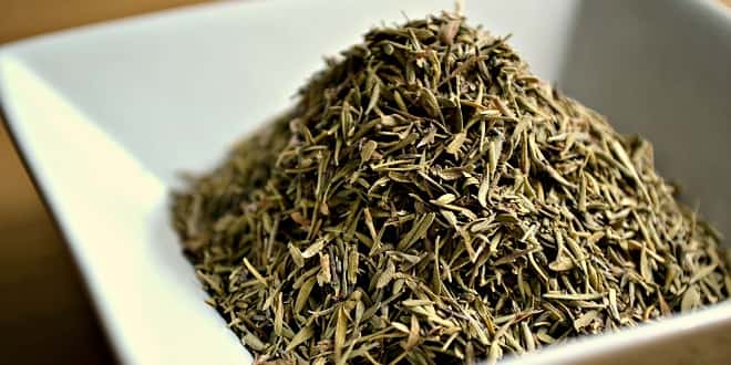 Foodelphi.com kekik Thyme