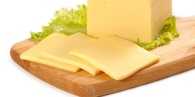 www.foodelphi.com