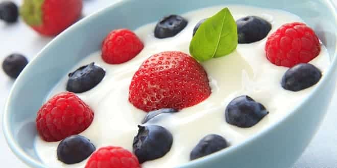 www.foodelphi.com