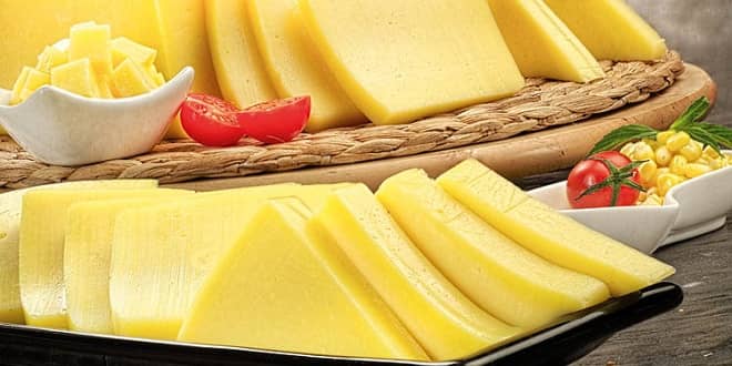 www.foodelphi.com