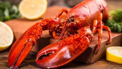 Foodelphi-ıstakoz-660x330